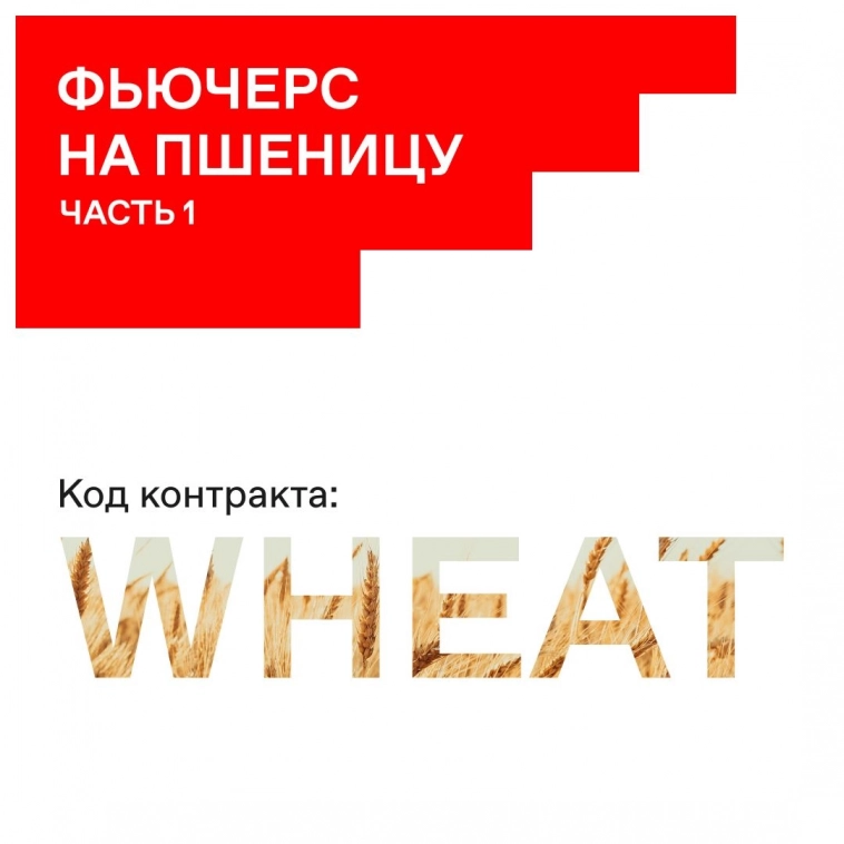 🌾 Особенности фьючерса на пшеницу
