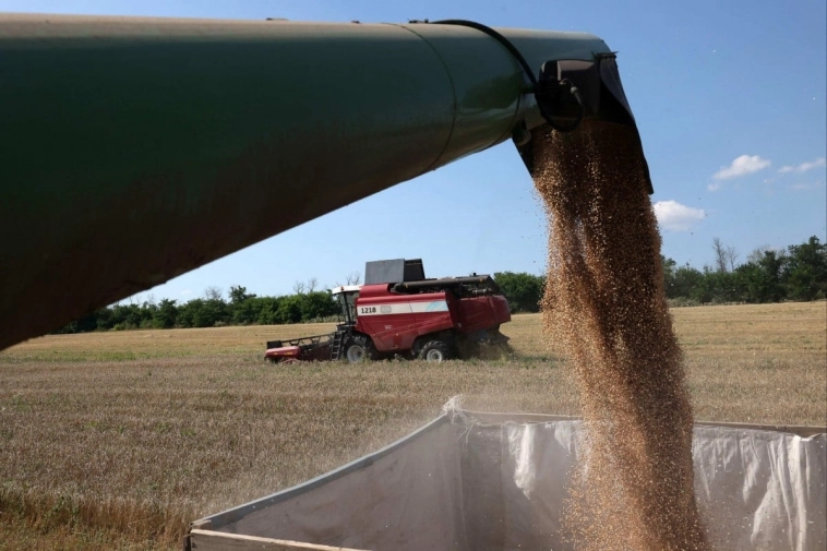 «Удар по западным экспортерам»: Россия создаст зерновую биржу БРИКС, — South China Morning Post.