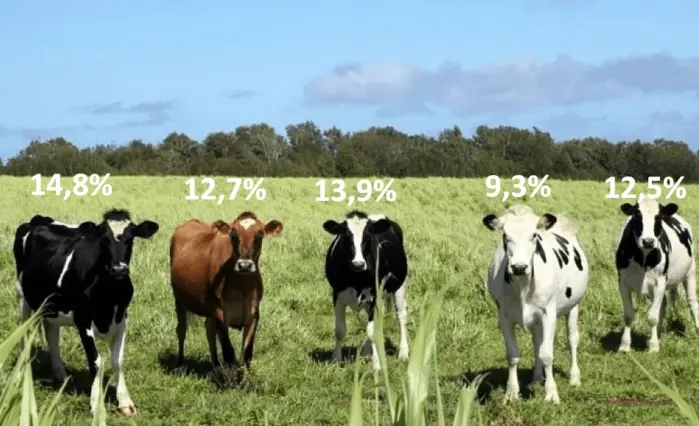 🐮Какая корова сколько дает молока? Разбираем разные классы активов