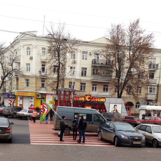 В центре Воронежа прошла очередная акция против добычи никеля.