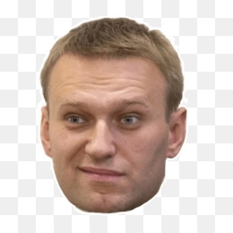 Портфель Навального. 2013.